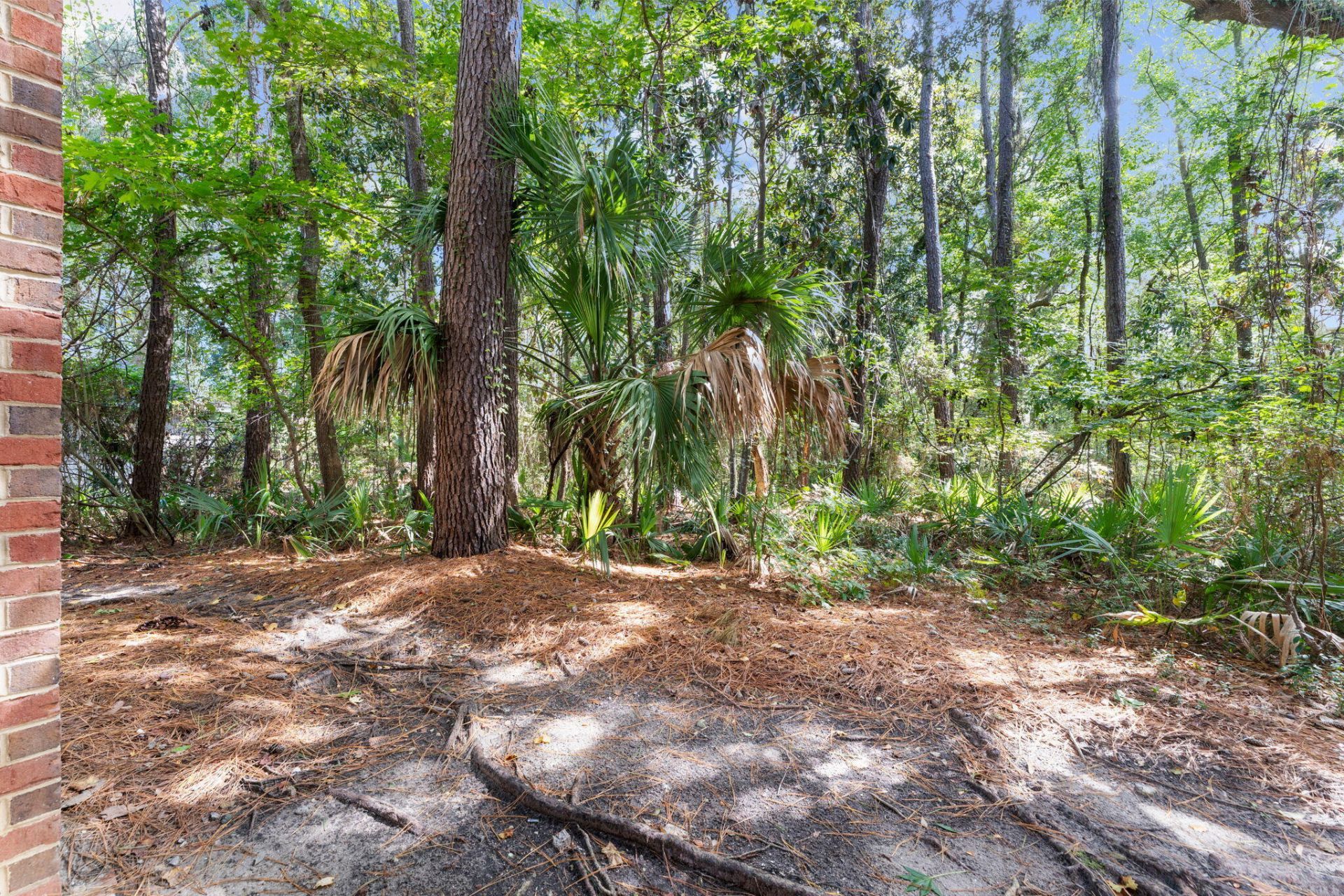 1600 Long Grove Drive Photo 31