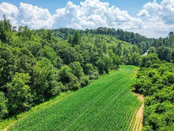 22.1 AC Hardscrabble Road, Mineral Bluff, GA 30559