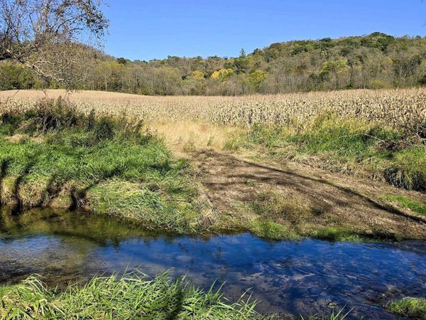 196+/- acres Highway 171, Gays Mills, WI 54631