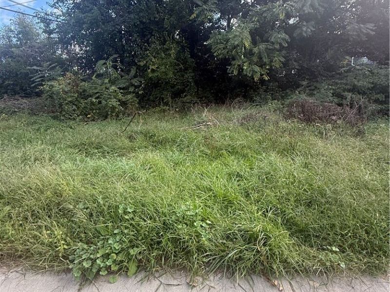 2103 E 81st Street, Cleveland, OH 44103 Photo 4