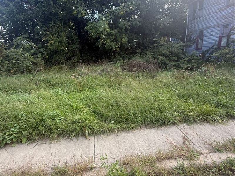 2103 E 81st Street, Cleveland, OH 44103 Photo 6