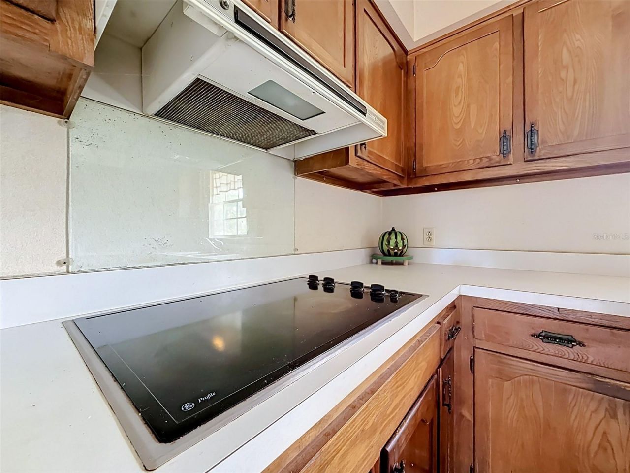 8038 Spring Drive , Yalaha, FL 34797 Photo