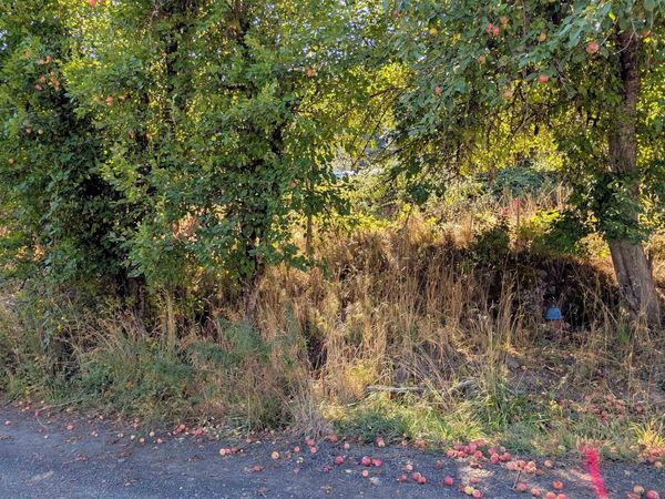 TBD Pine St Blk 43, Lot 1, Peck, ID 83545