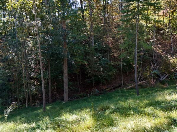 146 Cloudland Drive, Bristol, TN 37620
