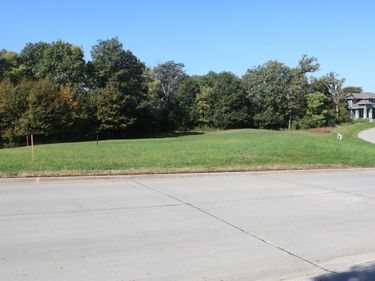 LOT 99 N MILLARD Street, COUNCIL BLUFFS, IA 51503