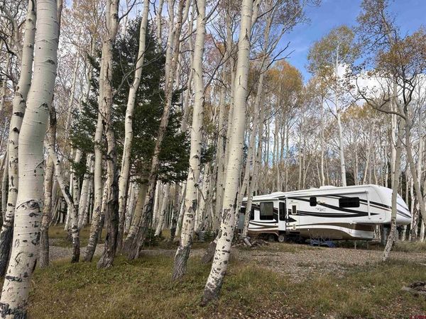 1204 Hazel Lake Drive, Cimarron, CO 81220