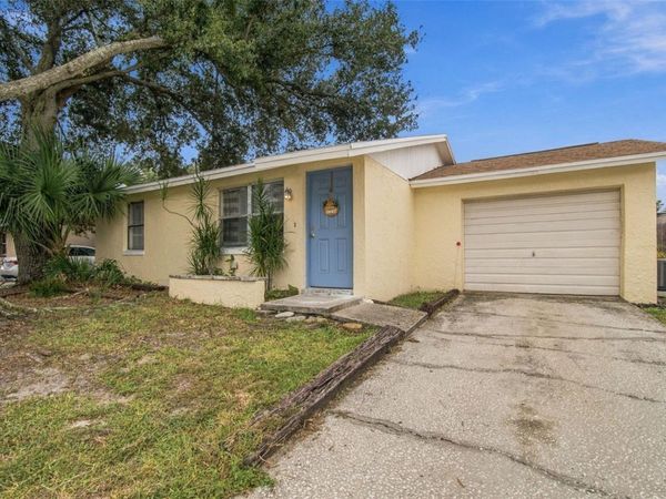 8406 WILLOW FOREST COURT , TAMPA, FL 33634