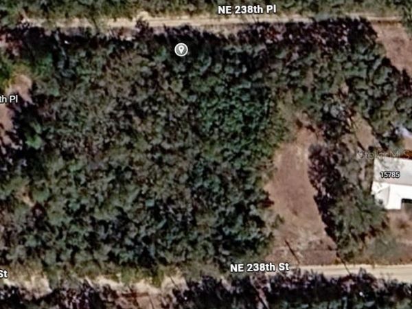 NE 238TH PL , FORT MC COY, FL 32134