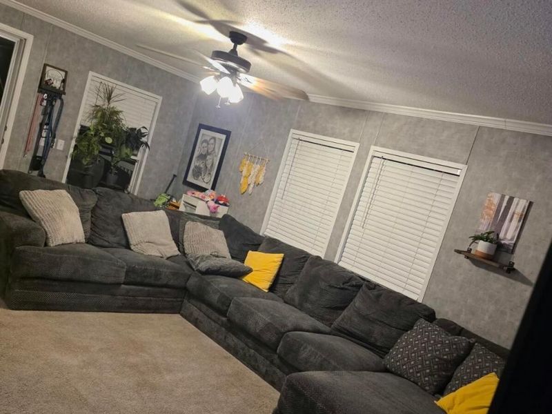 6308 Dawnlight Circle S, Orient, OH 43146 Photo 7