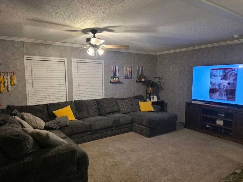 6308 Dawnlight Circle S, Orient, OH 43146 Photo 9