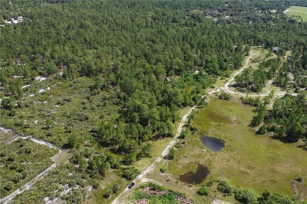 Ivy Way, Naples, FL 34117 Photo