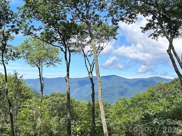 270 Olli Trail , Maggie Valley, NC 28751