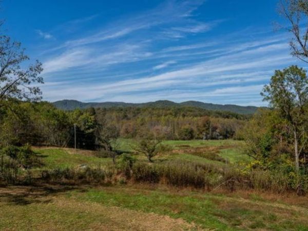 7590-B Mobile Road, Blue Ridge, GA 30513