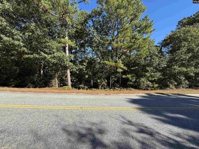 TBD Ruth Vista Rd , Lexington, SC 29073