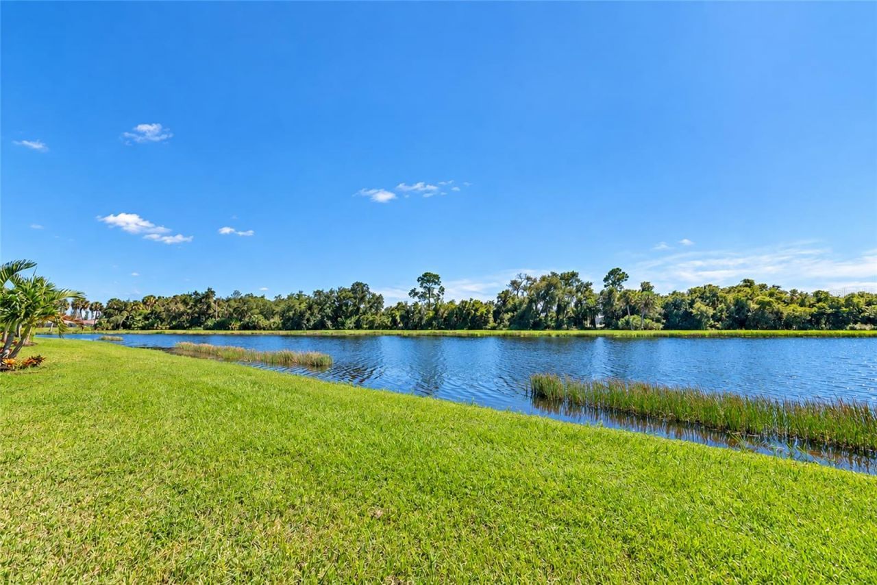 10378 Morning Mist Lane, Sarasota, FL 34241 Photo