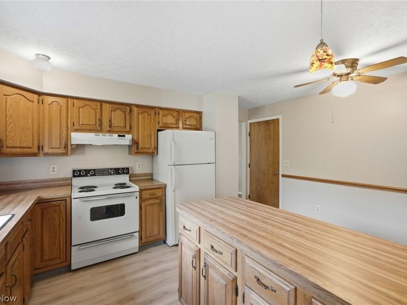 36185 Butternut Ridge, North Ridgeville, OH 44039 Photo 17