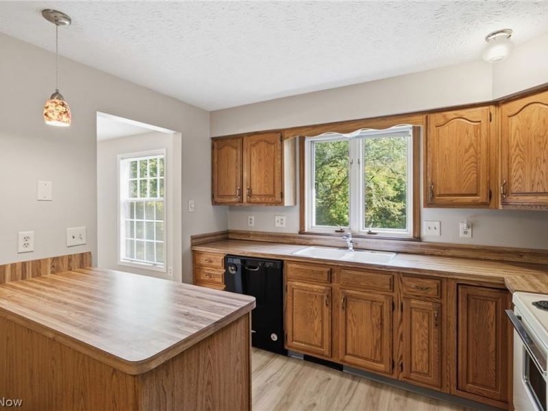 36185 Butternut Ridge, North Ridgeville, OH 44039 Photo 18