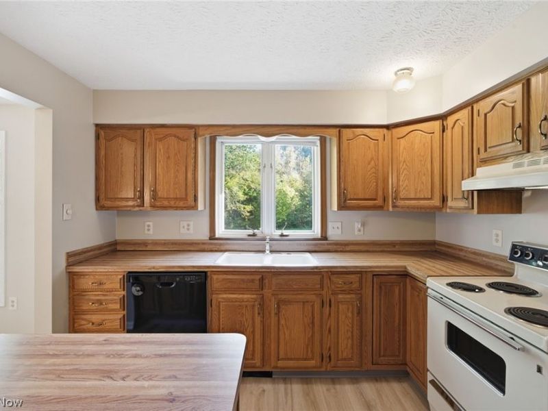 36185 Butternut Ridge Road, North Ridgeville, OH 44039 Photo 6