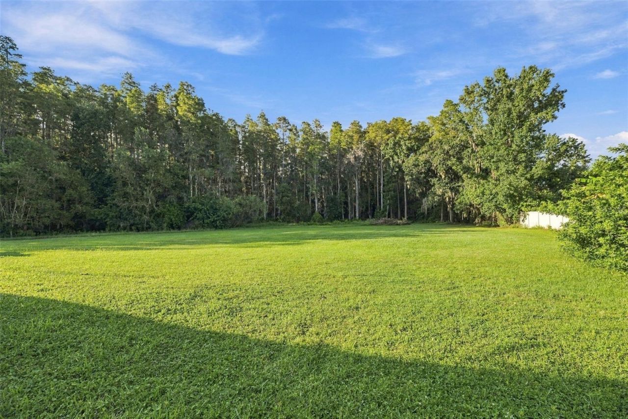 19153 Geraci Road, Lutz, FL 33558 Photo