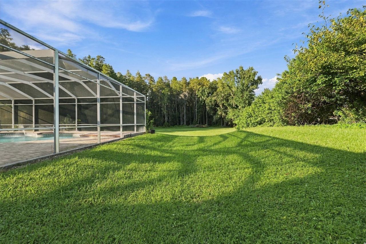 19153 Geraci Road, Lutz, FL 33558 Photo