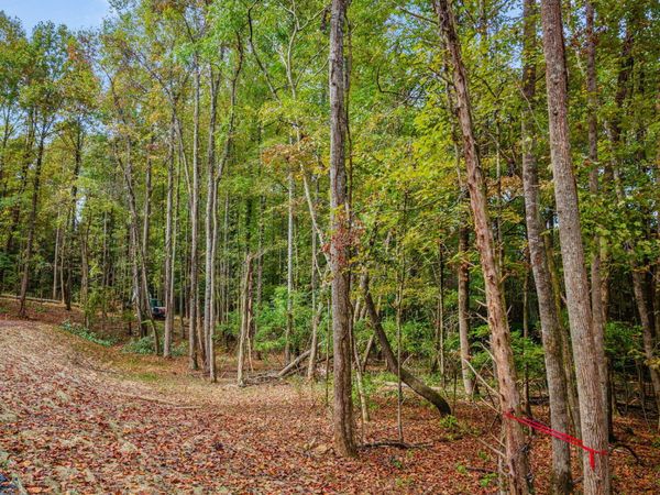 Lot 4 Mary Patton Highway, Elizabethton, TN 37643