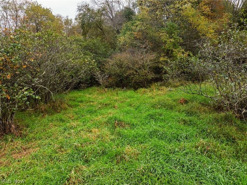 Post Road , Jewett, OH 43986 Photo 18