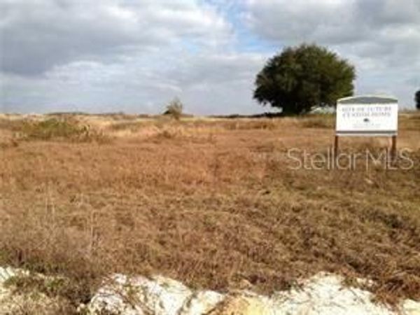 3713 RIDGE RUN DRIVE , MINNEOLA, FL 34715