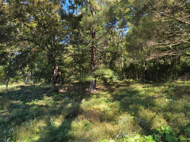 0 Meeksville Road , McArthur, OH 45651 Photo 10