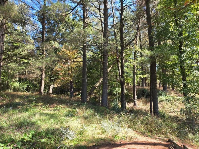 0 Meeksville Road , McArthur, OH 45651 Photo 13