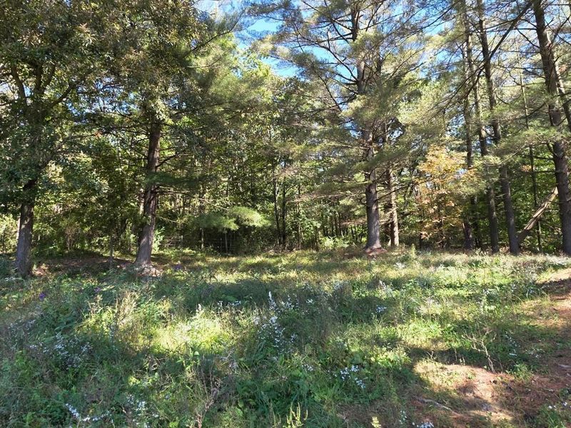 0 Meeksville Road , McArthur, OH 45651 Photo 8