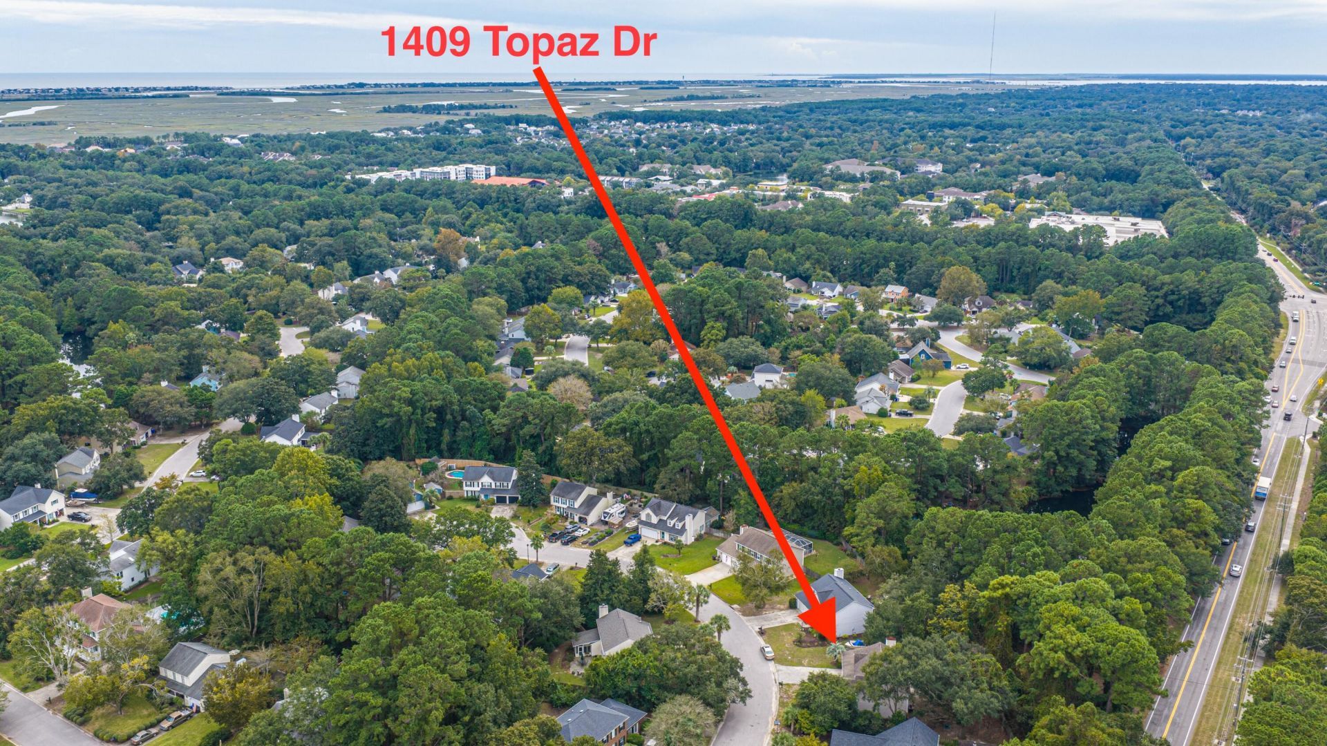 1409 Topaz Drive Photo 43