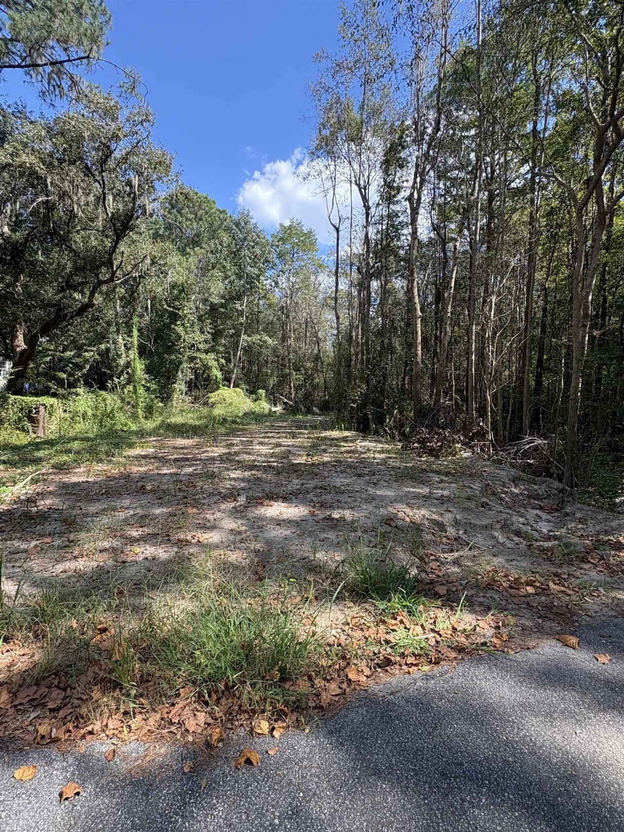 Tbd Waccamaw Lake Dr.  Photo 4