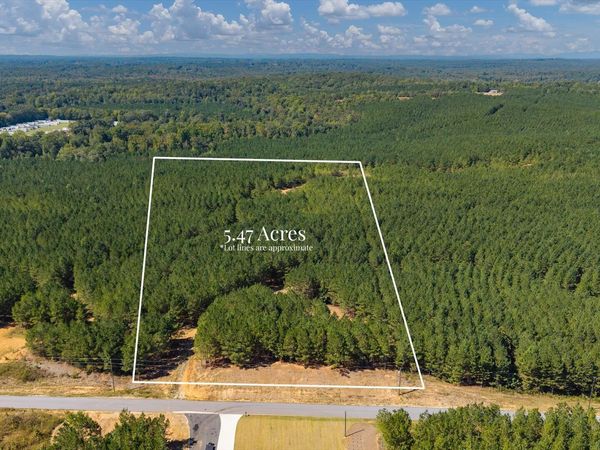 0 Steadman Lane, Tallapoosa, GA 30176