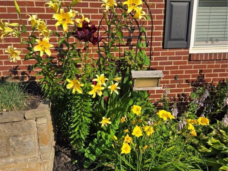 4649 Roosevelt Avenue NE, Canton, OH 44705 Photo 21