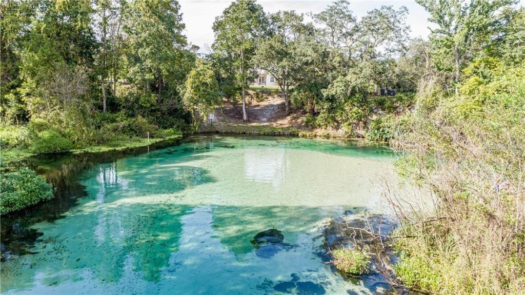 7258 Loblolly Court, Weeki Wachee, FL 34607 Photo