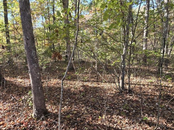 4 Austin Drive, Monterey, TN 38574