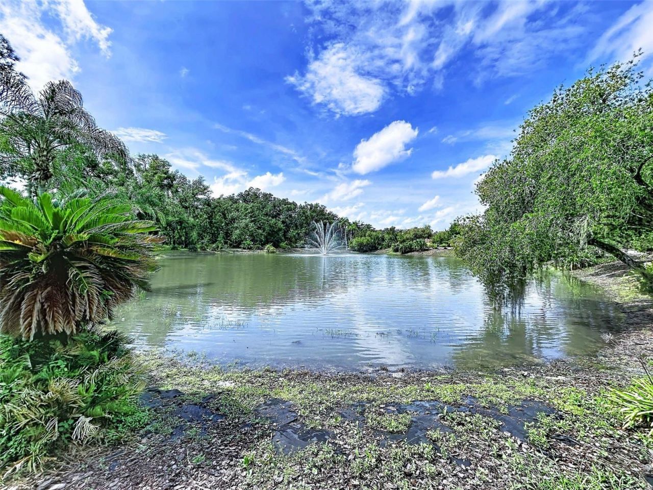 18023 Java Isle Drive , Tampa, FL 33647 Photo