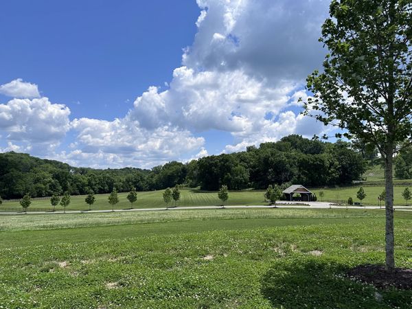 9004 Passiflora Ct , Unit 14052, College Grove, TN 37046