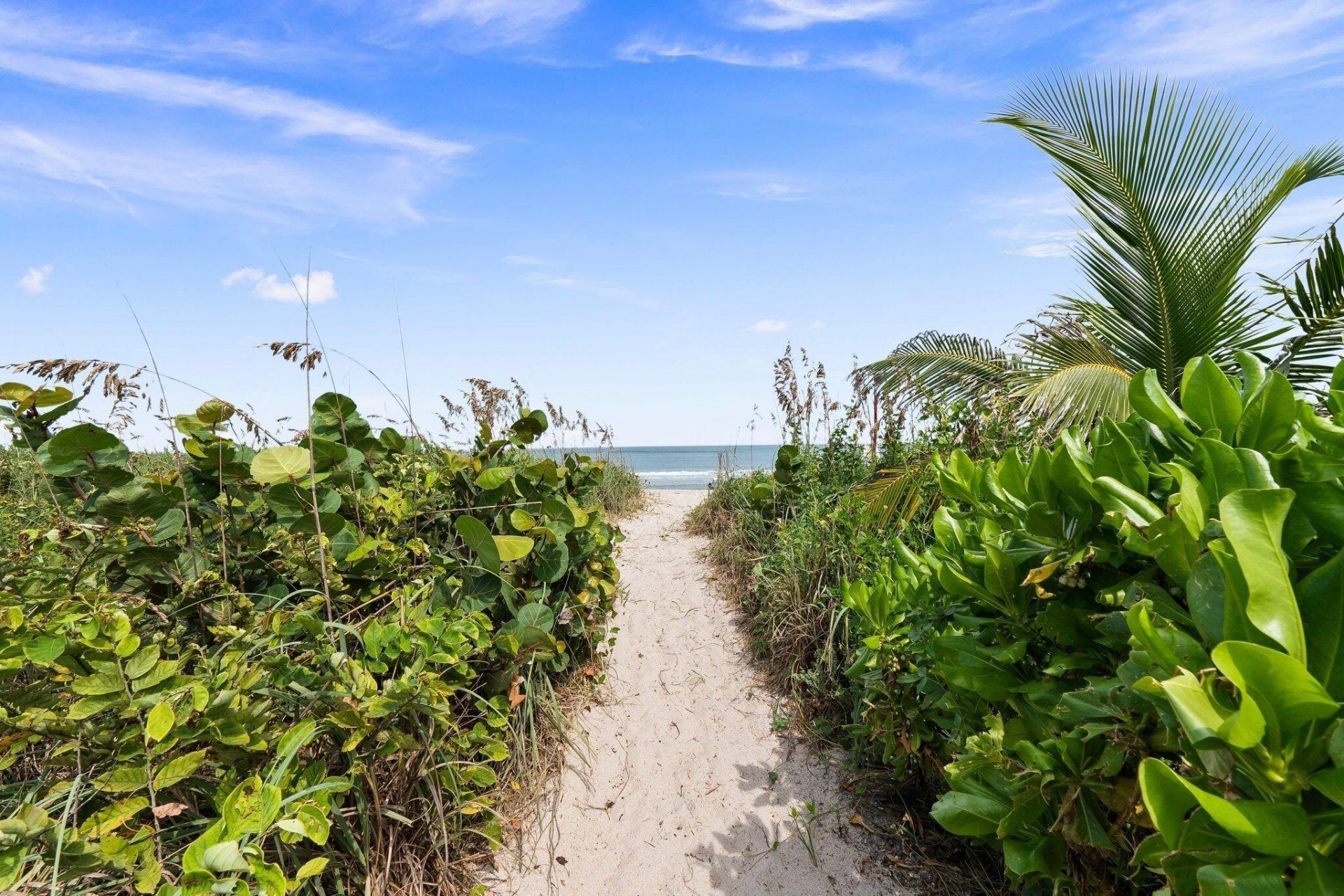 2700 N Hwy A1a, Unit 1102, Fort Pierce, FL 34949 Photo