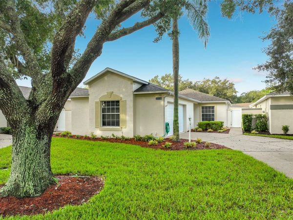 2038 BRAXTON STREET , CLERMONT, FL 34711