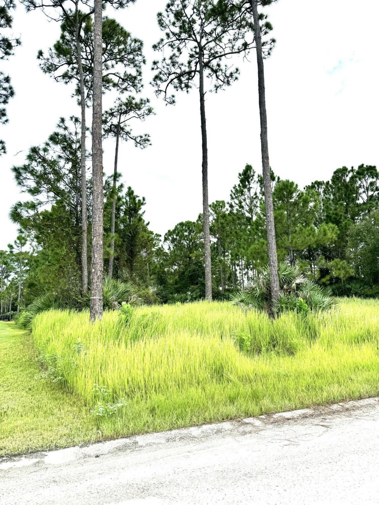 10615 Sugar Pine Drive, Fort Pierce, FL 34945 Photo