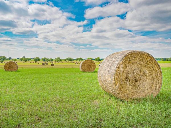 Lot 2 TBD Orchard Road, Bowie, TX 76230