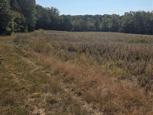 0 Birch Creek Farm Loop , Leslie, MO 63056