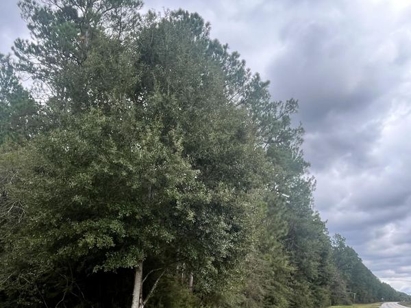 Ms-614, Moss Point, MS 39562