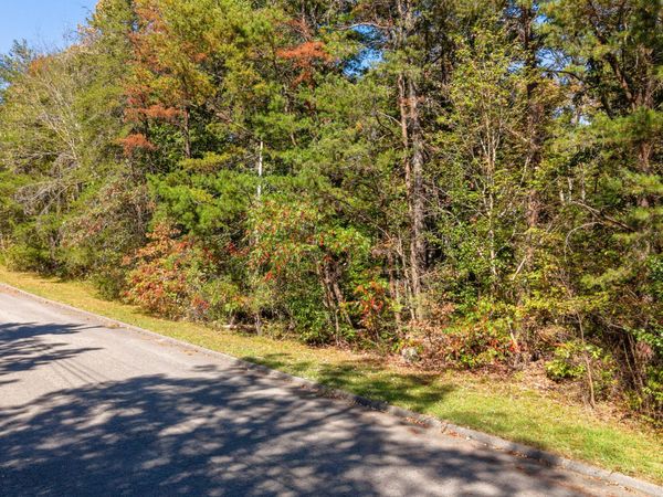 0 Smith Drive, Signal Mountain, TN 37377