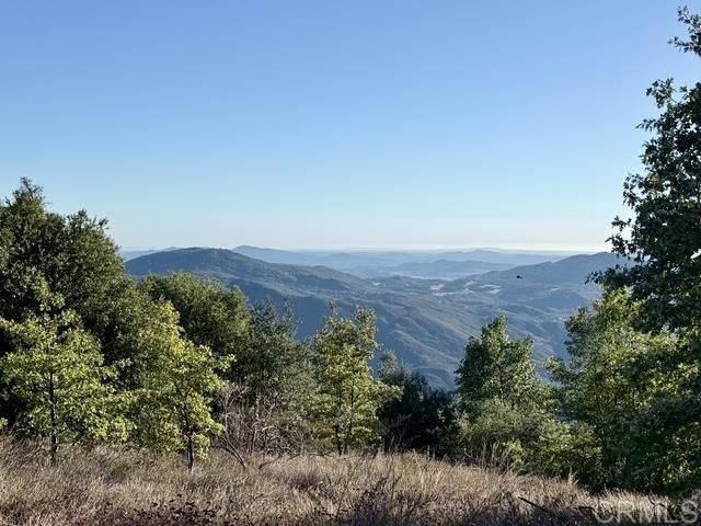 29 Acres East Grade Road, Palomar Mountain, CA 92060 Main Photo