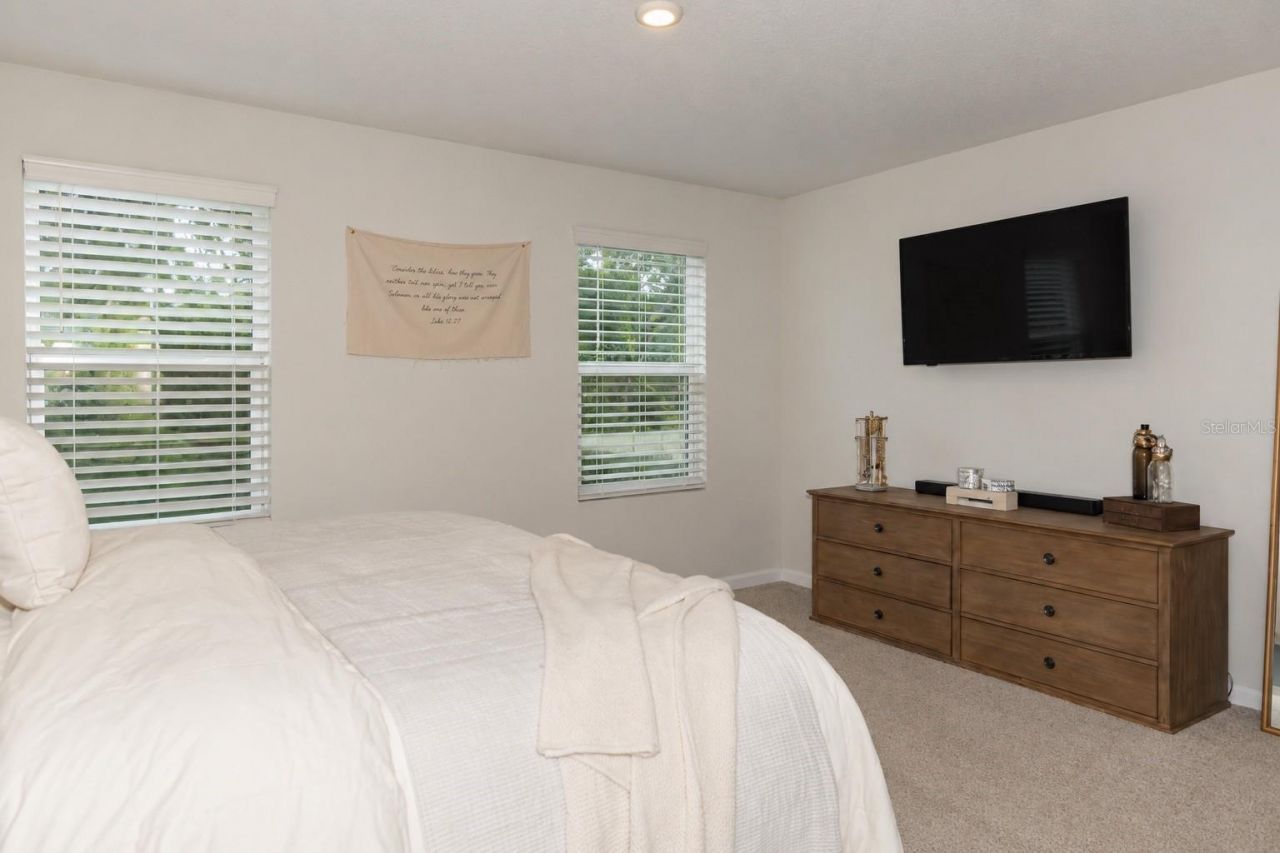 11398 Spectacled Drive , New Port Richey, FL 34654 Photo