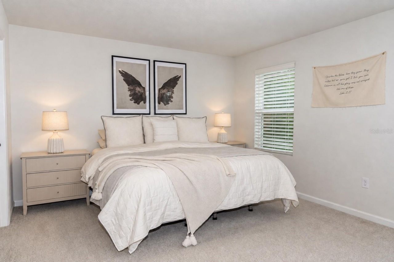 11398 Spectacled Drive , New Port Richey, FL 34654 Photo