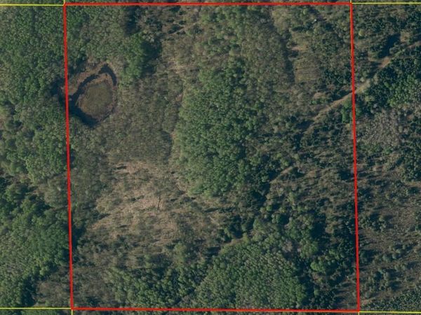 40 Acres Near Chippewa Lake Road, Butternut, WI 54515
