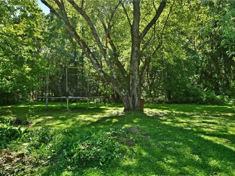 2422 Wilson Sharpsville Road, Cortland, OH 44410 Photo 42